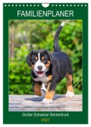 Cover-Bild zum Titel 'Familienplaner Großer Schweizer Sennenhund (Wandkalender 2027 DIN A4 hoch), CALVENDO Monatskalender' von 'Sigrid Starick'