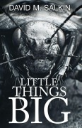 Cover-Bild zum Titel 'Little Things Big' von 'David M Salkin'