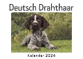Cover-Bild zum Titel 'Deutsch Drahthaar (Wandkalender 2024, Kalender DIN A4 quer, Monatskalender im Querformat mit Kalendarium, Das perfekte Geschenk)' von 'Anna Müller'