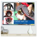 Chihuahuas. Zuckersüße Hunde im lustigen Outfit (hochwertiger Premium Wandkalender 2025 DIN A2 quer), Kunstdruck in Hochglanz - Rose Hurley
