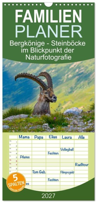 Familienplaner 2027 - Bergkönige - Steinböcke im Blickpunkt der Naturfotografie mit 5 Spalten (Wandkalender, 21 x 45 cm) CALVENDO - Renaldo Caumont