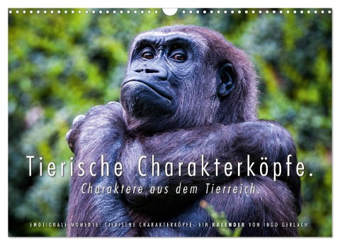 Tierische Charakterköpfe (Wandkalender 2025 DIN A3 quer), CALVENDO Monatskalender - Ingo Gerlach