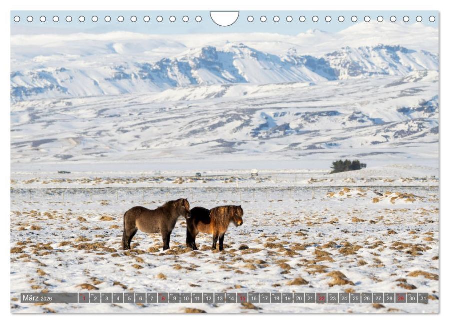 InsideView 8