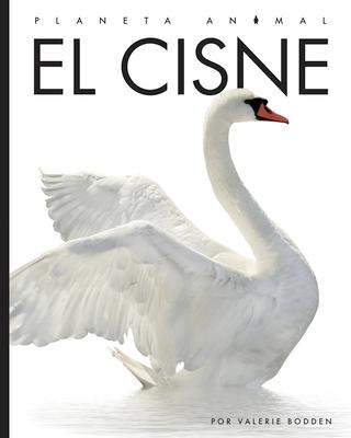 El Cisne - Valerie Bodden