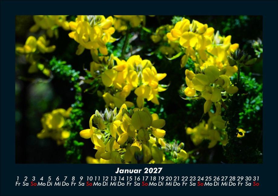 InsideView 5
