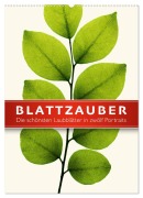 Cover-Bild zum Titel 'Blattzauber (Wandkalender 2026 DIN A2 hoch), CALVENDO Monatskalender' von 'Wildlife Art Print'
