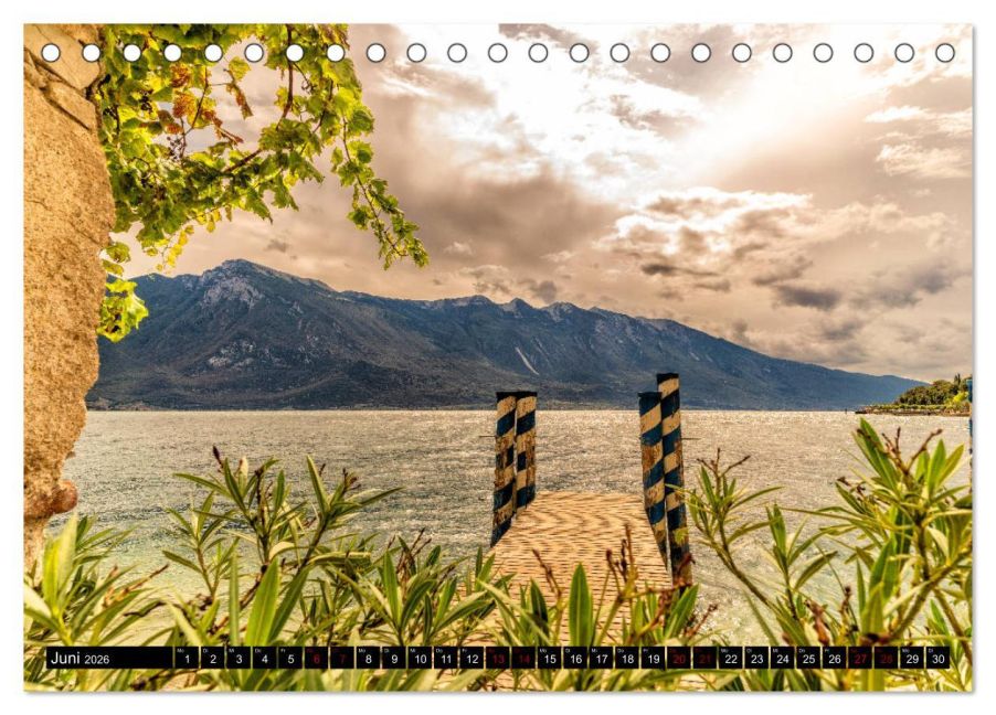 InsideView 11