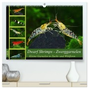 Cover-Bild zum Titel 'Dwarf Shrimps - Zwerggarnelen (hochwertiger Premium Wandkalender 2026 DIN A2 quer), Kunstdruck in Hochglanz' von 'Rudolf Pohlmann'