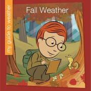 Cover-Bild zum Titel 'Fall Weather' von 'Rebecca Felix'