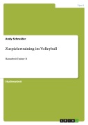 Zuspielertraining im Volleyball - Andy Schneider