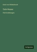 Cover-Bild zum Titel 'Tiefe Wasser' von 'Ernst Von Wildenbruch'