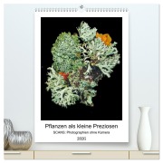 Cover-Bild zum Titel 'Pflanzen als kleine Preziosen (hochwertiger Premium Wandkalender 2026 DIN A2 hoch), Kunstdruck in Hochglanz' von 'Tamara Wahby'
