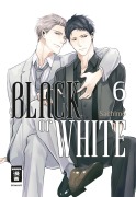 Cover-Bild zum Titel 'Black or White 06' von 'Sachimo'