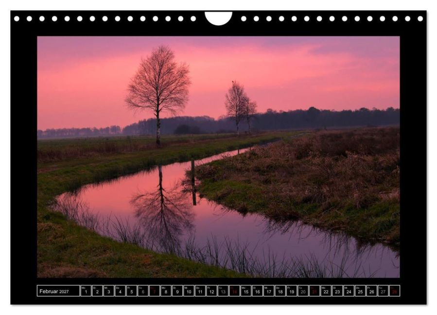 InsideView 7