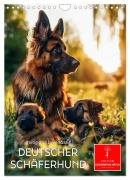 Cover-Bild zum Titel 'Deutscher Schäferhund - mutig und zuverlässig (Wandkalender 2026 DIN A4 hoch), CALVENDO Monatskalender' von 'Peter Roder'