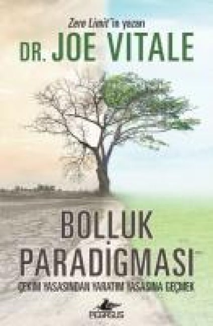 Bolluk Paradigmasi - Joe Vitale