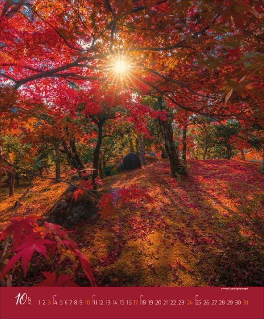 InsideView 10