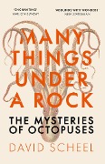 Cover-Bild zum Titel 'Many Things Under a Rock' von 'David Scheel'
