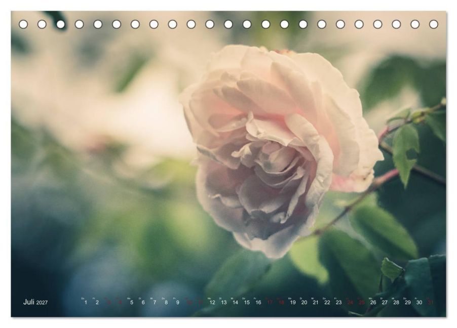InsideView 12