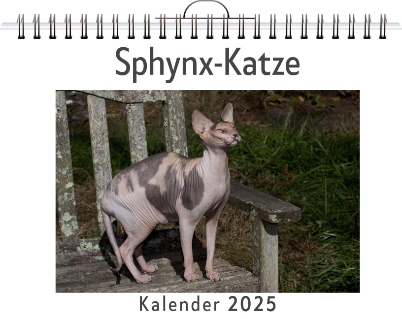 Sphynx-Katze - Anna Weber
