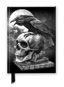 Cover-Bild zum Titel 'Alchemy: Poe's Raven (Foiled Journal)' von ''