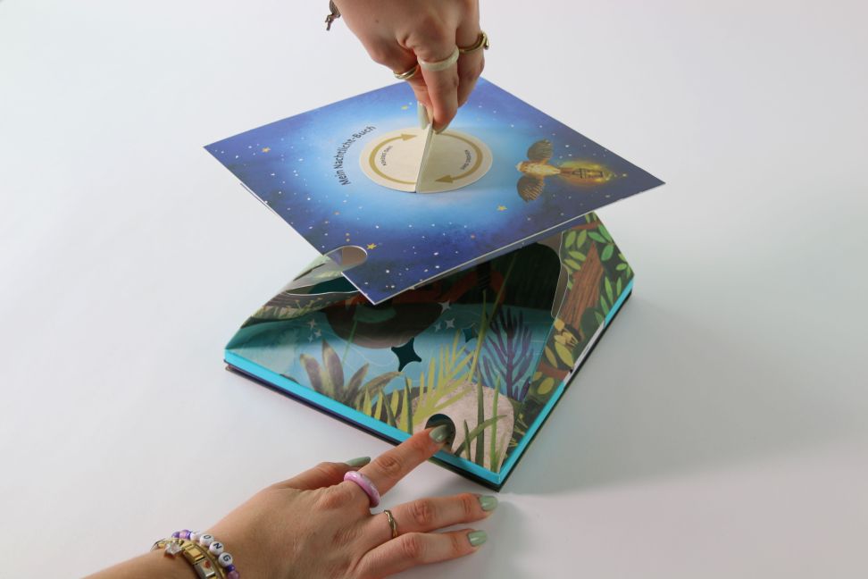 InsideView 6