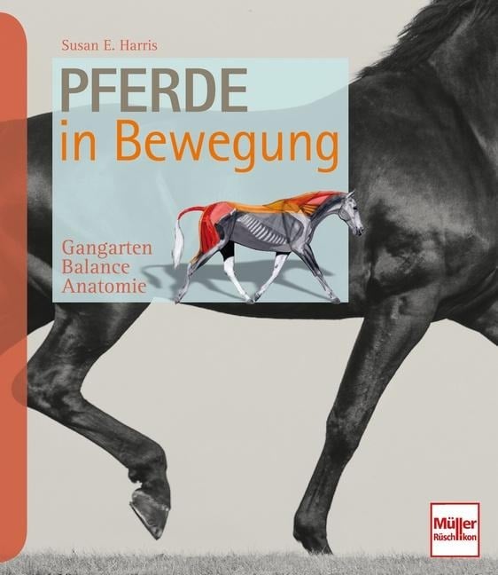 Pferde in Bewegung - Susan E. Harris