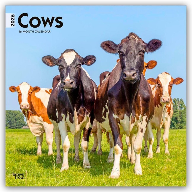 Cows - Kühe 2026 - 16-Monatskalender - Browntrout Publishers