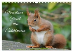 Cover-Bild zum Titel 'Mein kleiner Freund das Eichhörnchen (Wandkalender 2026 DIN A3 quer), CALVENDO Monatskalender' von 'Rufotos Rufotos'