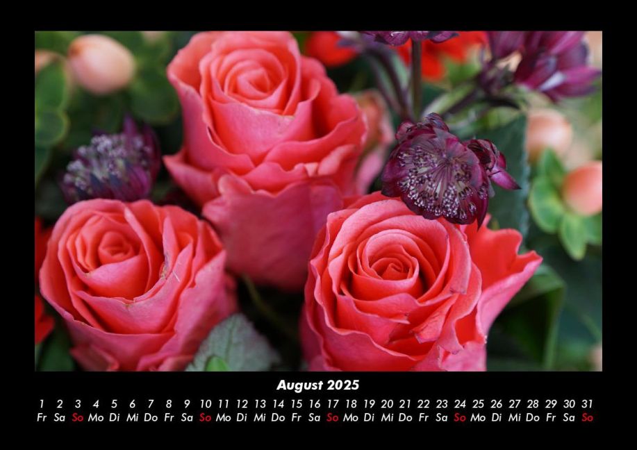 InsideView 12