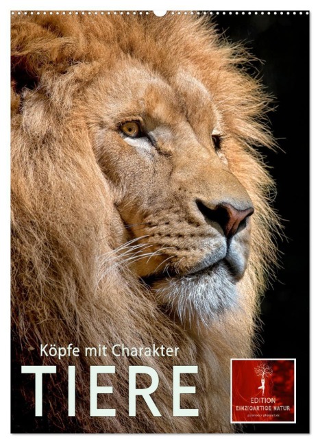 Tiere - Köpfe mit Charakter (Wandkalender 2026 DIN A2 hoch), CALVENDO Monatskalender - Peter Roder