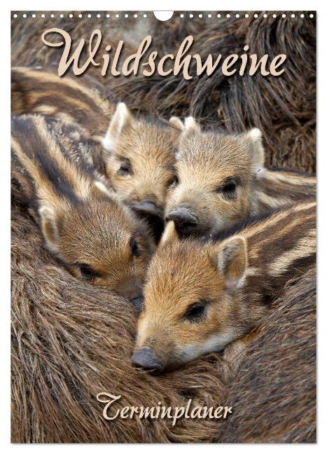 Wildschweine (Wandkalender 2024 DIN A3 hoch), CALVENDO Monatskalender - Martina Berg