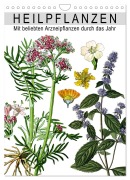 Cover-Bild zum Titel 'Heilpflanzen (Wandkalender 2026 DIN A4 hoch), CALVENDO Monatskalender' von 'Bilder Bilwissedition. Com Layout: Babette Reek'