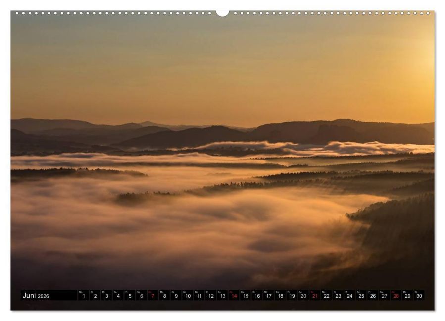 InsideView 11