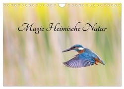 Magie Heimische Natur (Wandkalender 2026 DIN A4 quer), CALVENDO Monatskalender - Wilfried Martin (GDT)