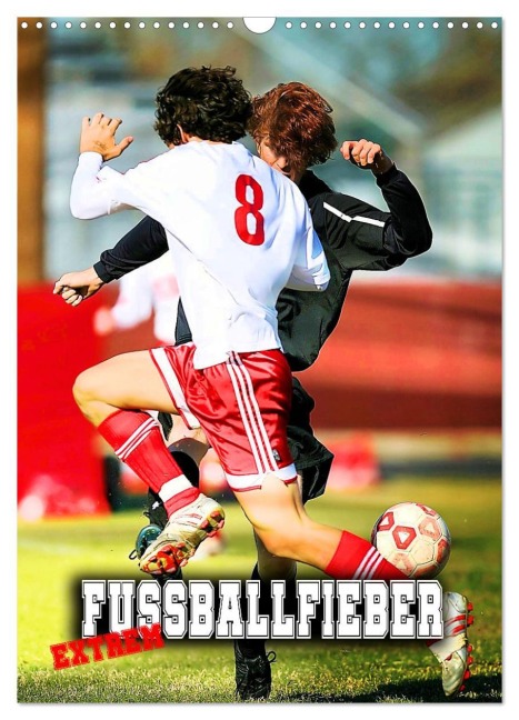 Fußballfieber extrem (Wandkalender 2026 DIN A3 hoch), CALVENDO Monatskalender - Renate Utz