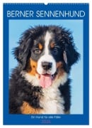 Cover-Bild zum Titel 'Berner Sennenhund - Ein Hund für alle Fälle (Wandkalender 2026 DIN A2 hoch), CALVENDO Monatskalender' von 'Sigrid Starick'