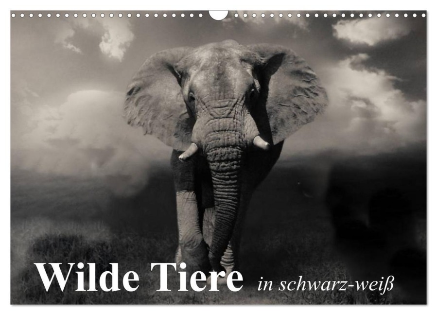 Wilde Tiere in schwarz-weiß (Wandkalender 2026 DIN A3 quer), CALVENDO Monatskalender - Elisabeth Stanzer