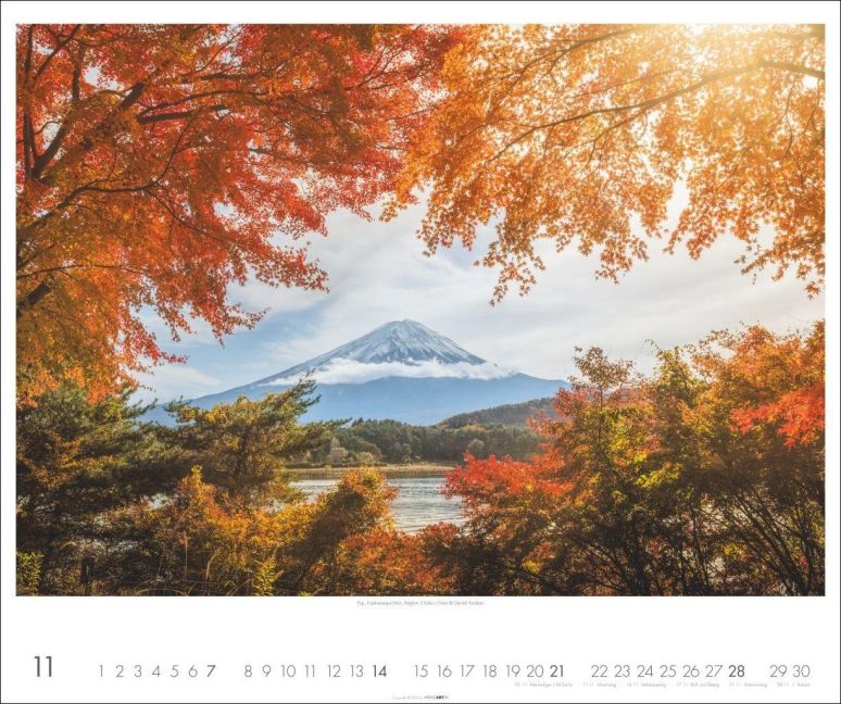 InsideView 11