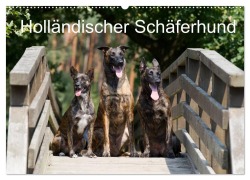 Cover-Bild zum Titel 'Holländischer Schäferhund (Wandkalender 2026 DIN A2 quer), CALVENDO Monatskalender' von 'Fotodesign Verena Scholze'