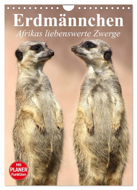 Erdmännchen - Afrikas liebenswerte Zwerge (Wandkalender 2026 DIN A4 hoch), CALVENDO Monatskalender - Elisabeth Stanzer