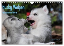 Cover-Bild zum Titel 'Husky Welpen (Wandkalender 2026 DIN A4 quer), CALVENDO Monatskalender' von 'Michael Ebardt'