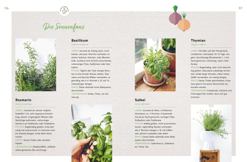 InsideView 6