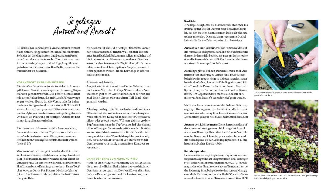 InsideView 5