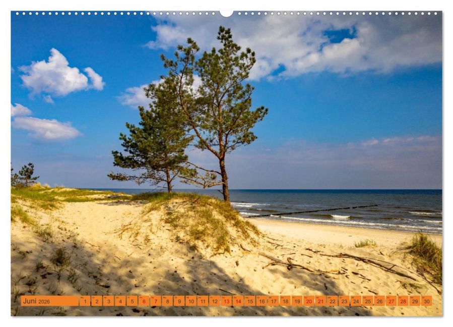 InsideView 11