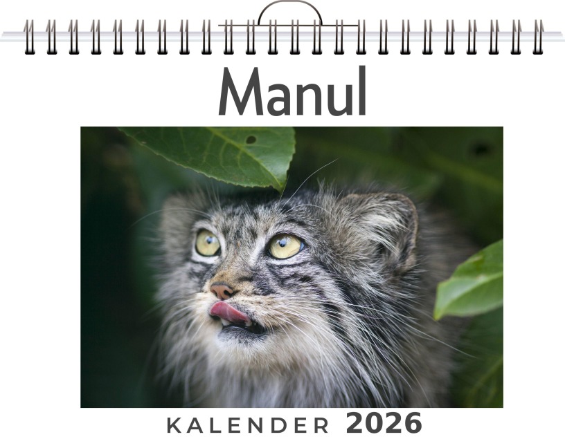 Manul - David Möller