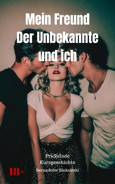 Mein Freund, der Unbekannte und ich - Bernadette Binkowski