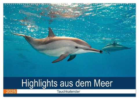 Highlights aus dem Meer - Tauchkalender (Wandkalender 2025 DIN A2 quer), CALVENDO Monatskalender - Sven Gruse