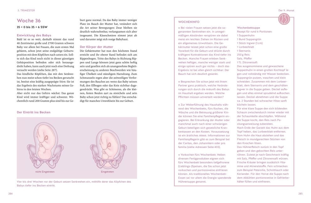InsideView 5