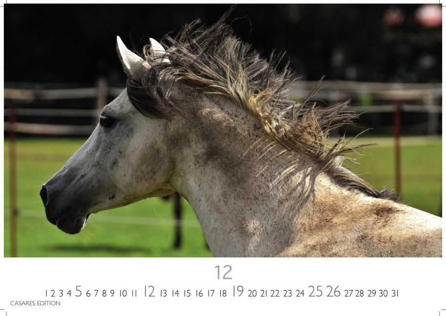 InsideView 12